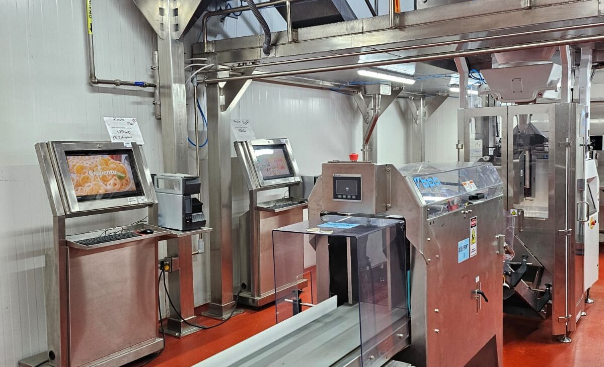 Gabinetes industriales para Línea de Producción